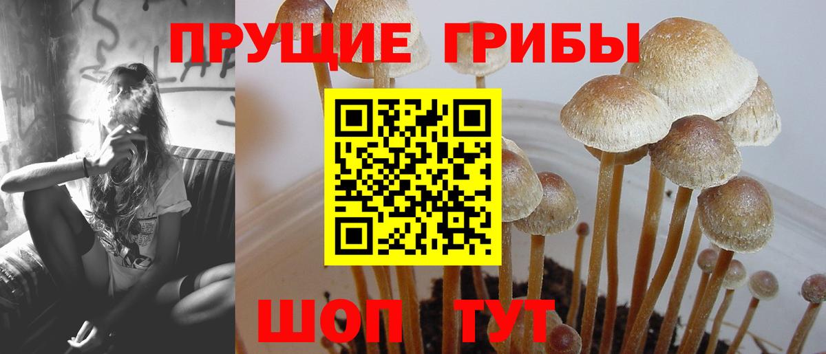Галлюциногенные грибы прущие грибы  Псилоцибиновые грибы ЛСД  Ржев  Вход с VPN 